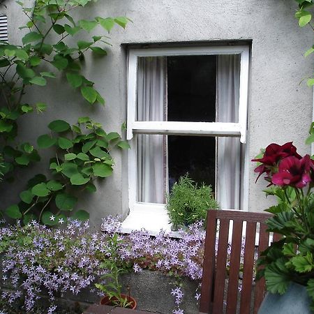 Harrington House Hostel Dublin Dış mekan fotoğraf