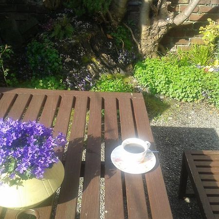 Harrington House Hostel Dublin Dış mekan fotoğraf