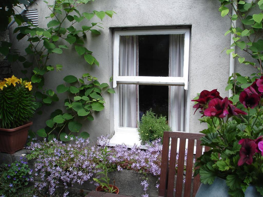 Harrington House Hostel Dublin Dış mekan fotoğraf