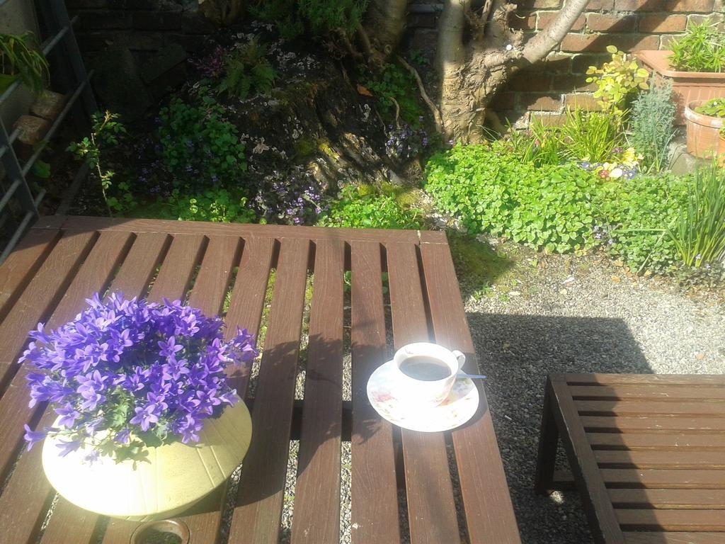 Harrington House Hostel Dublin Dış mekan fotoğraf
